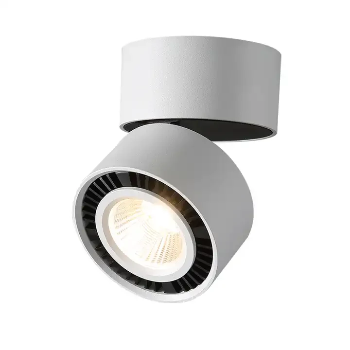 MSR-CCL Series Surface Mounted Downlight