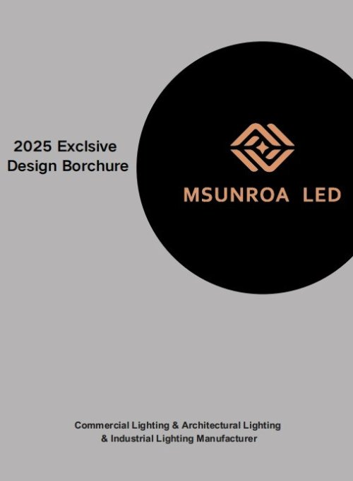 2025 Exclsive Design Borchure