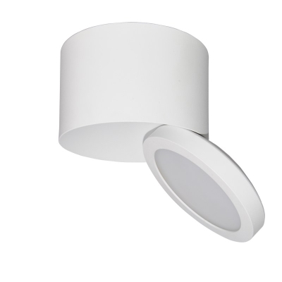 MSR-ACL Series Surface Mounted Downlight