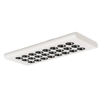 MSR-QCL Series Ceiling Light