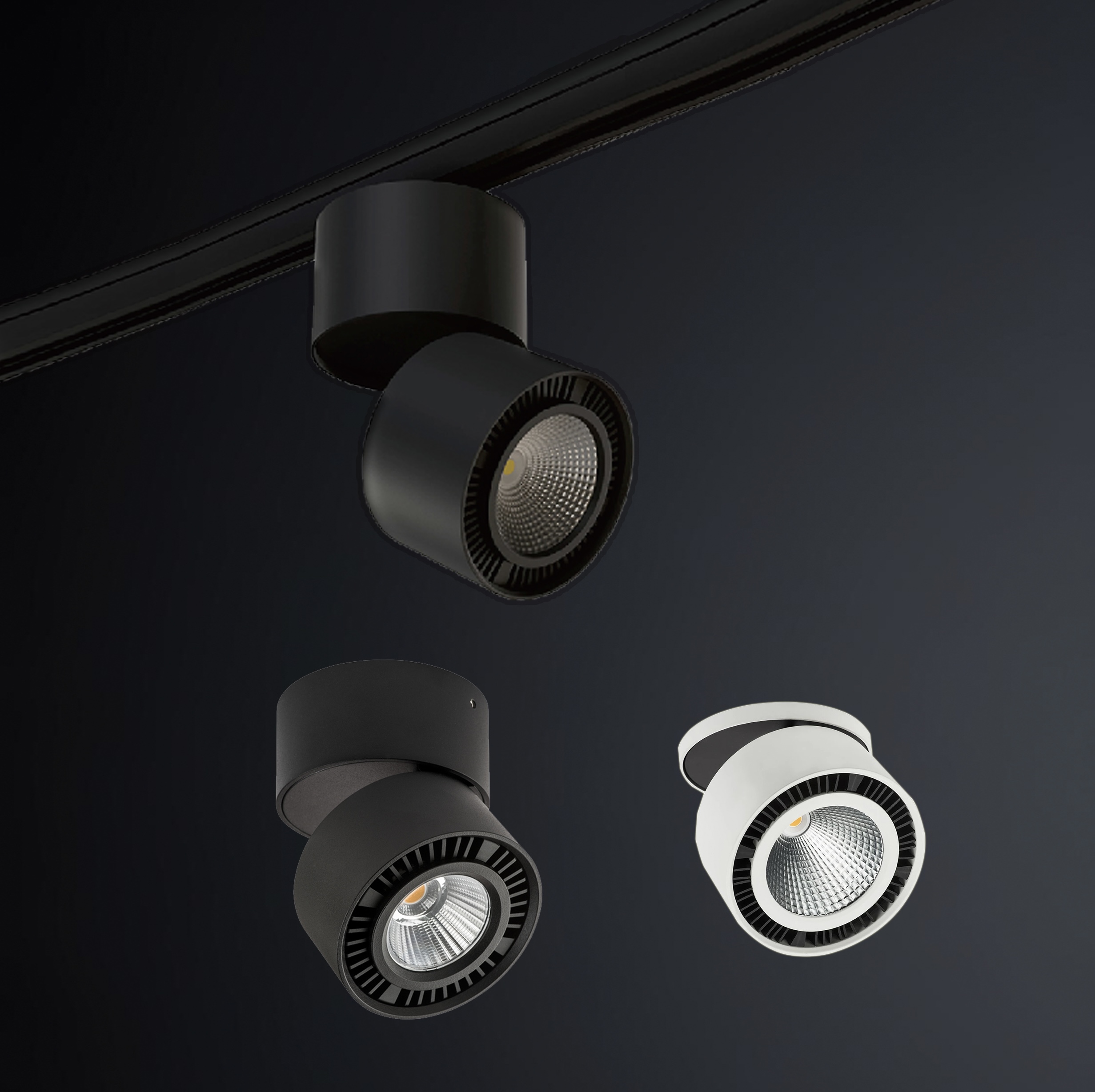 1745329791885242.png 75305906fc4ac5d675c8b96a4db43233.png