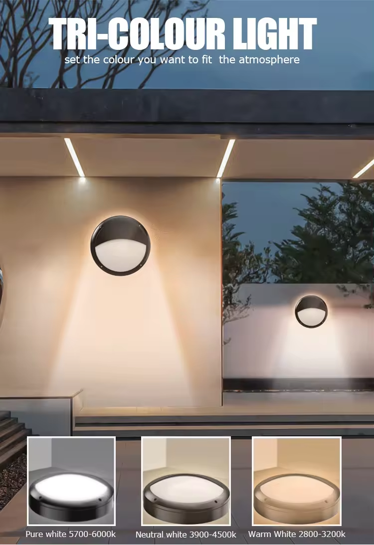 1746972705250664.png 205398009.png